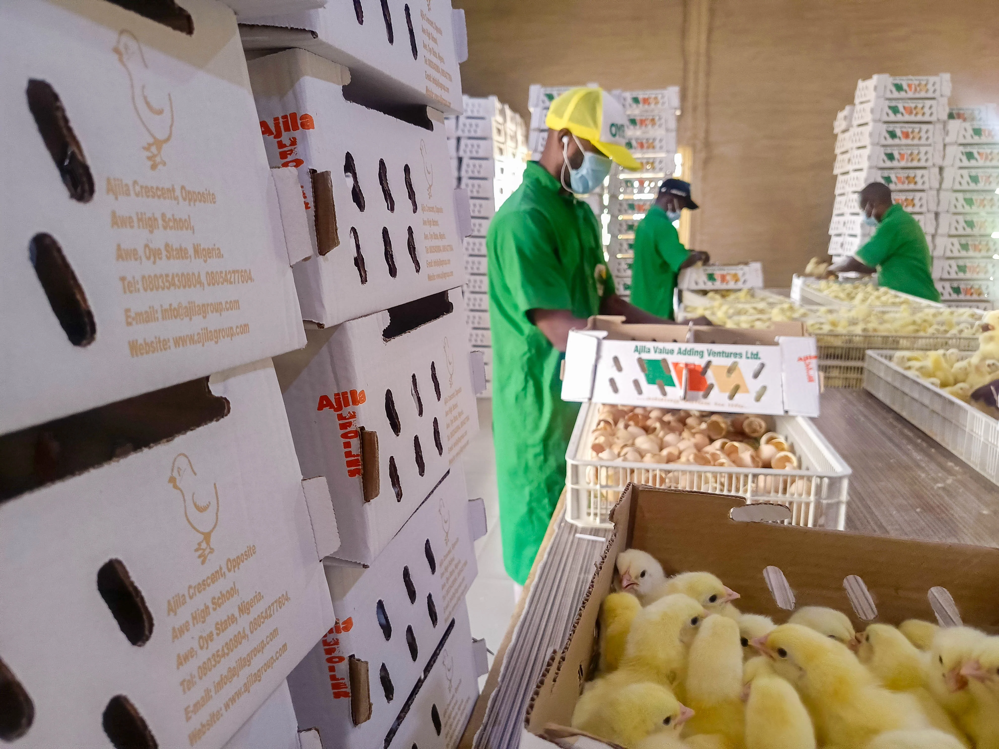AJILA Value Adding Ventures Limited Hero